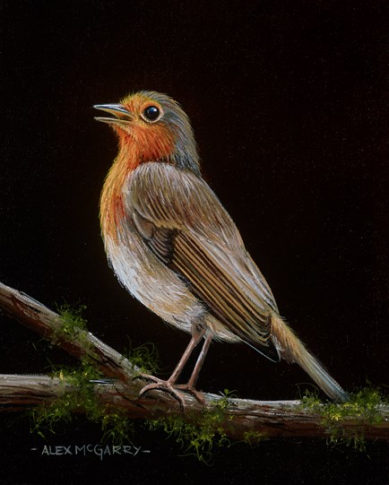 Robin on the Lookout by Alex McGarry - Varnished Original Painting, Canvas on Board